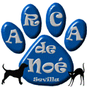 Estrella Arca de Noé